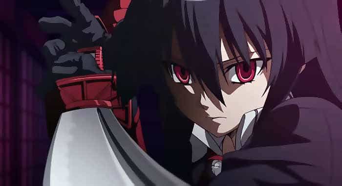 Убийца Акамэ! (Akame Ga Kill!)