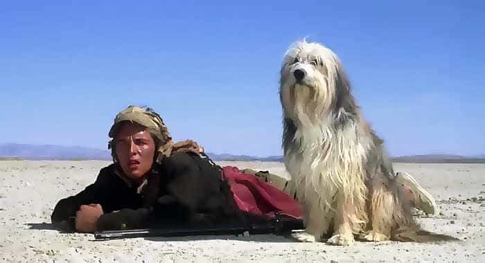 Парень и его пес (A Boy and His Dog - 1975)