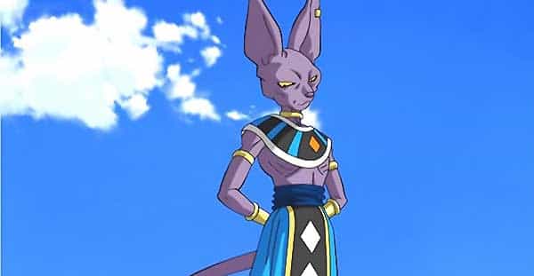  Beerus – Dragon Ball Z